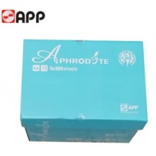 复印纸70G  500张/包  5包/箱